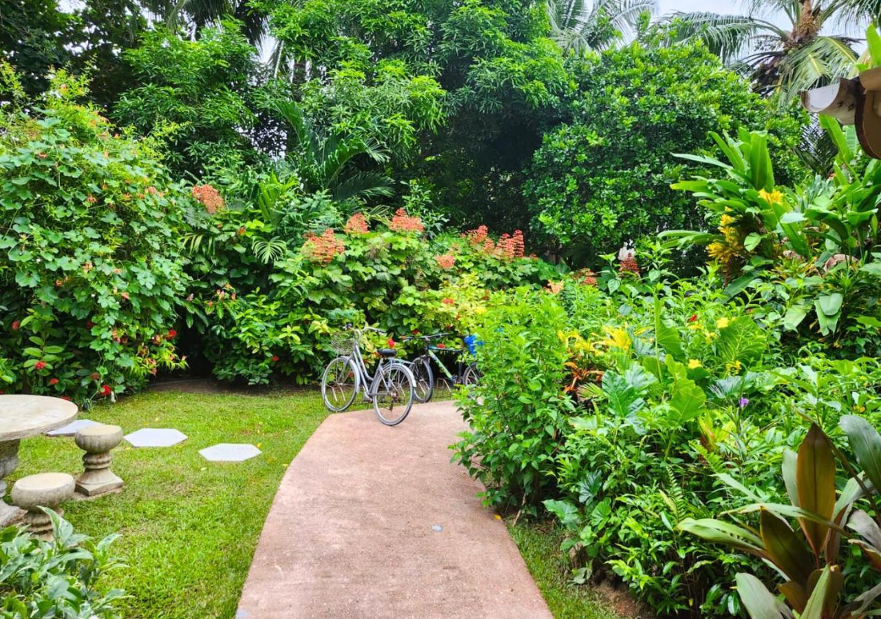 Buisson Guesthouse La Digue Exterior photo